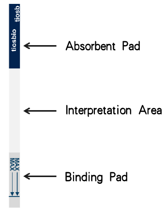 Schematic diagram of the structure of a disposable nucleic acid detection test strip